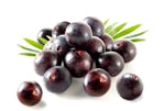 ingrediente acai berry