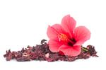 ingrediente hibiscus