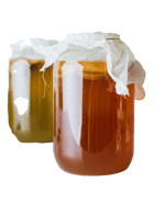 ingrediente kombucha