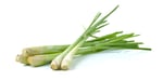 ingrediente lemongrass