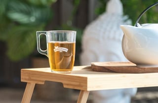 articulo cuándo tomar kombucha